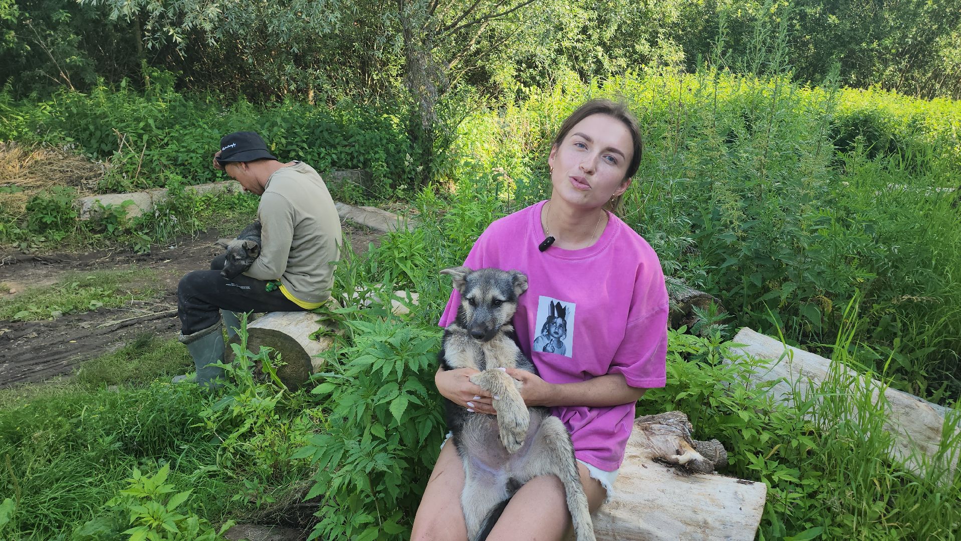 Люберцы, д Михнево, волонтеры, зоозащитники,