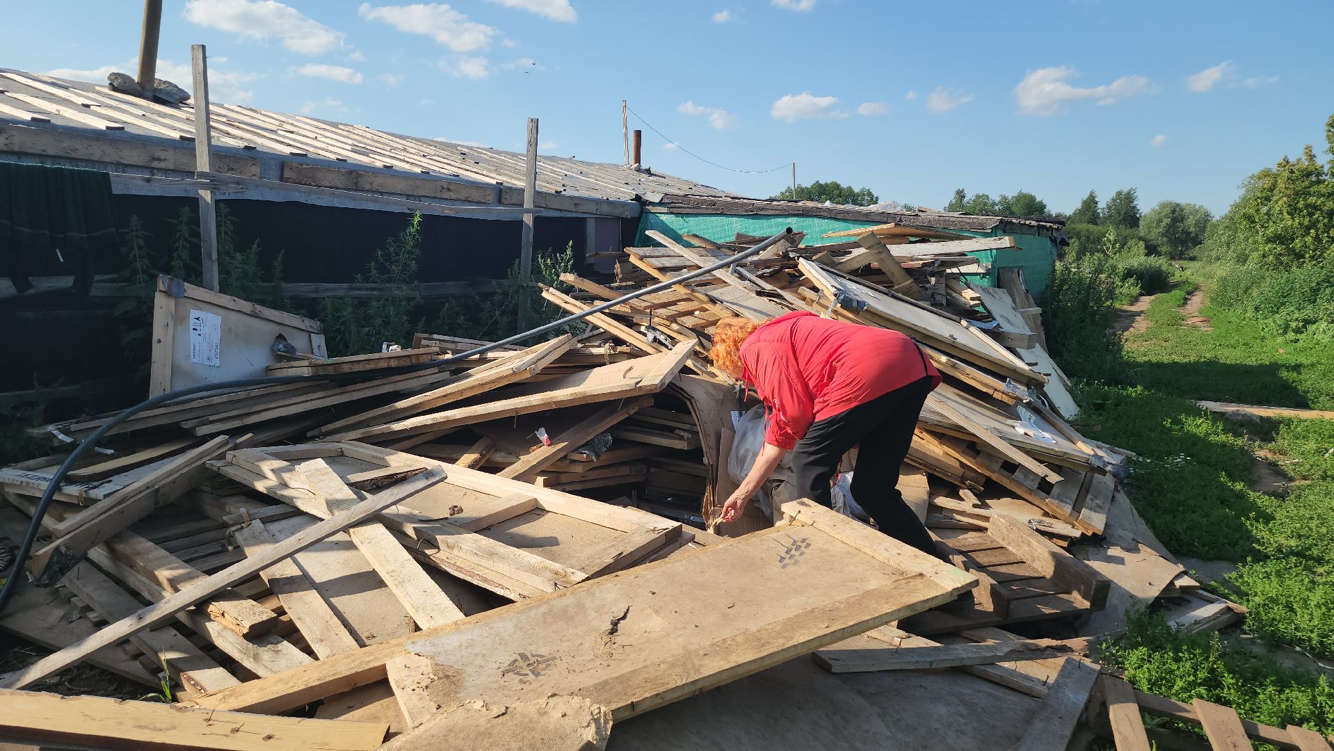 Люберцы, д Михнево, волонтеры, зоозащитники,