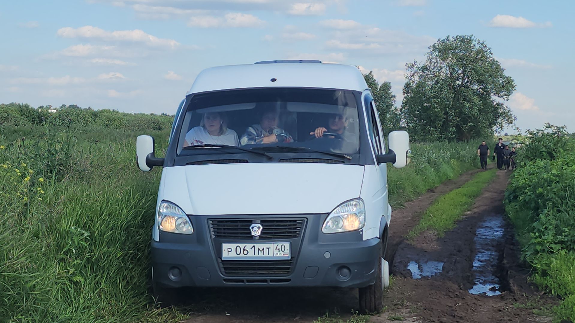 Люберцы, д Михнево, волонтеры, зоозащитники,