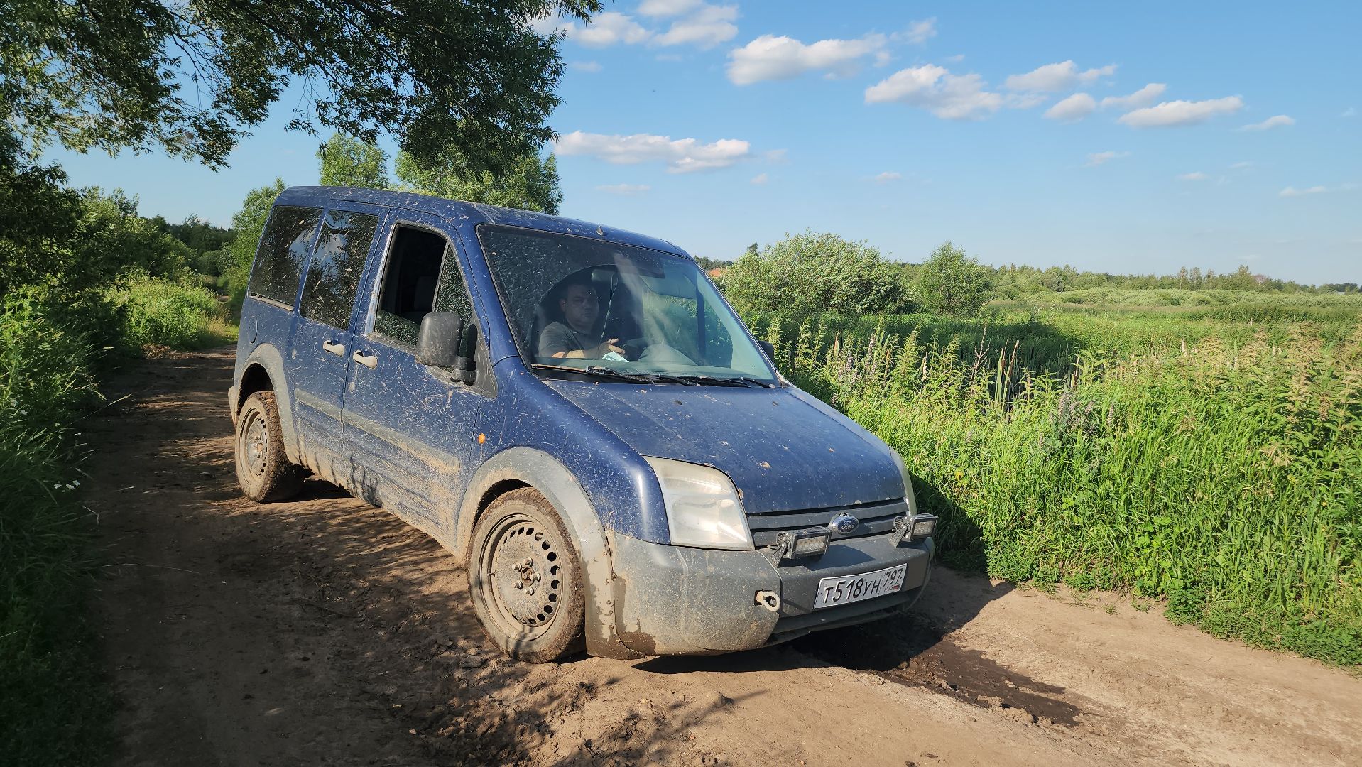 Люберцы, д Михнево, волонтеры, зоозащитники,
