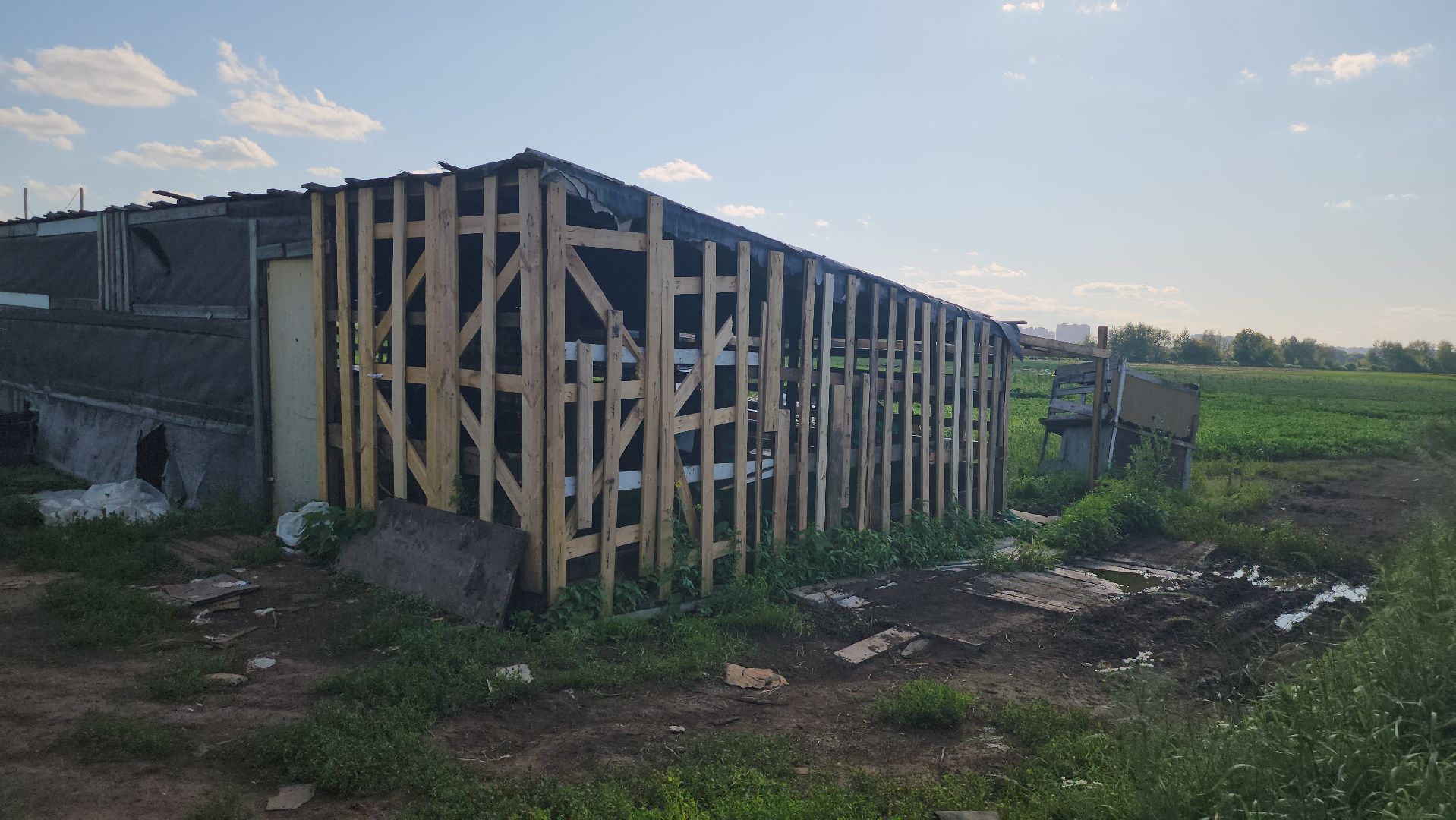 Люберцы, д Михнево, волонтеры, зоозащитники,