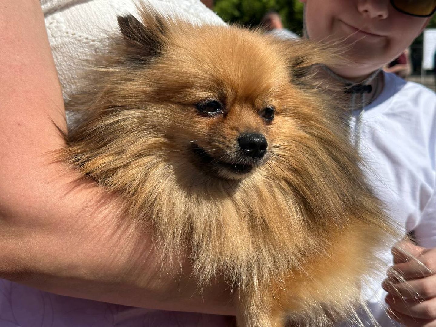 можайск, можайский муниципальный округ, подмосковье, мисс автоледи 2025, конкурс, медики, можайская больница, общество,