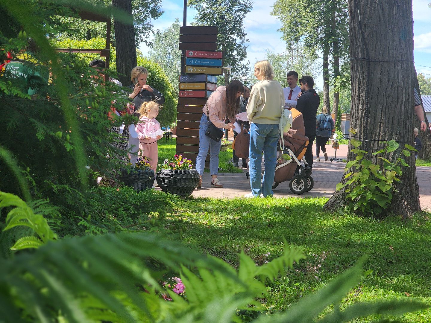 сергиев посад, сергиево-посадский городской округ, алиса в стране чудес, однажды в сказке,