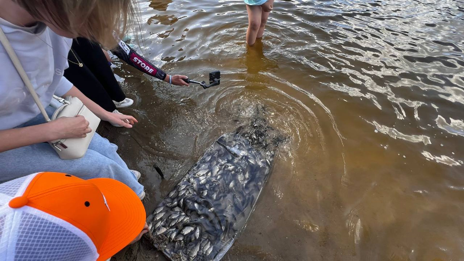 сергиев посад, сергиево-посадский городской округ, лесопарк загорское море, семхоз, рыболовный фестиваль, компания азот,