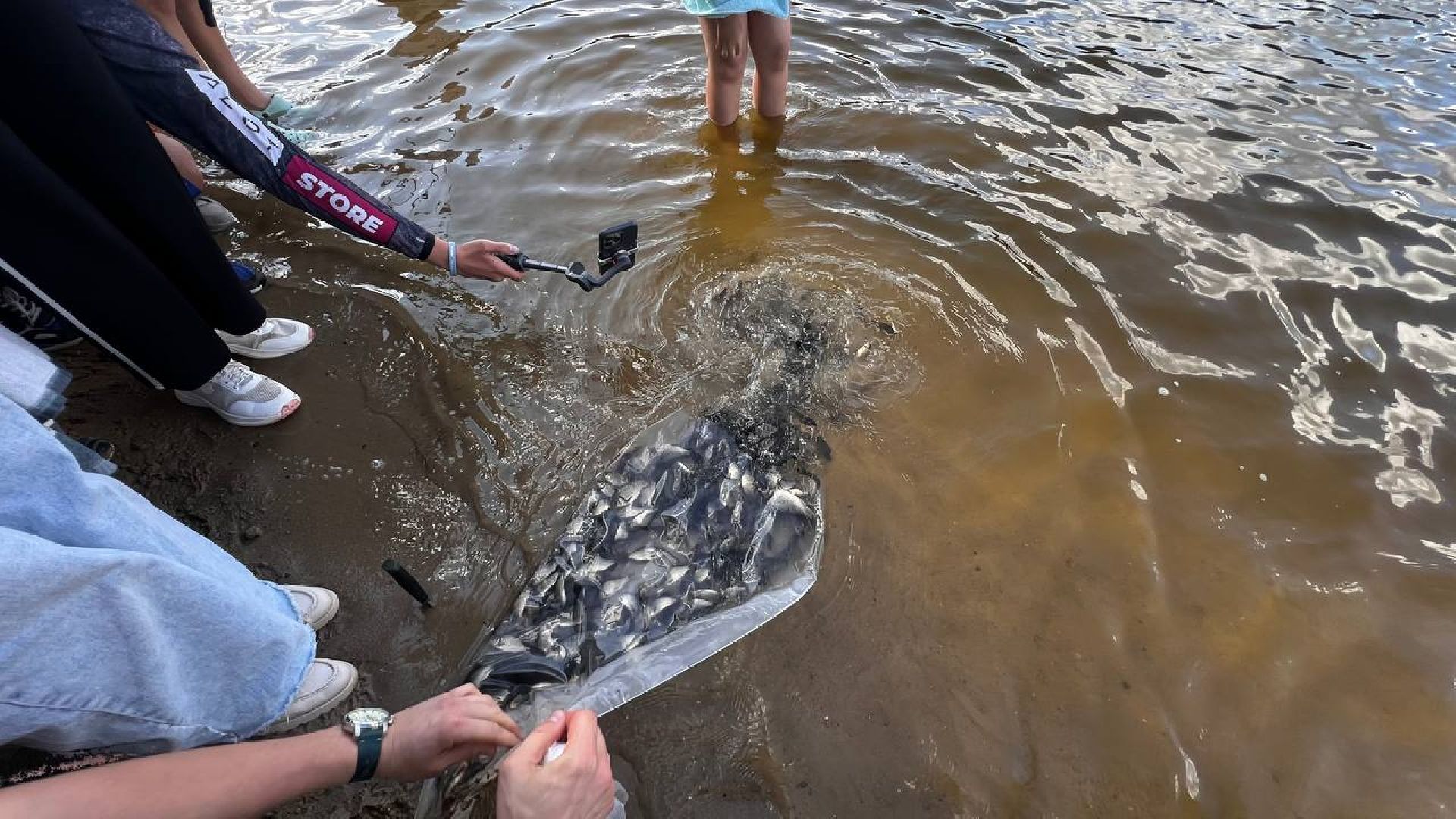 сергиев посад, сергиево-посадский городской округ, лесопарк загорское море, семхоз, рыболовный фестиваль, компания азот,