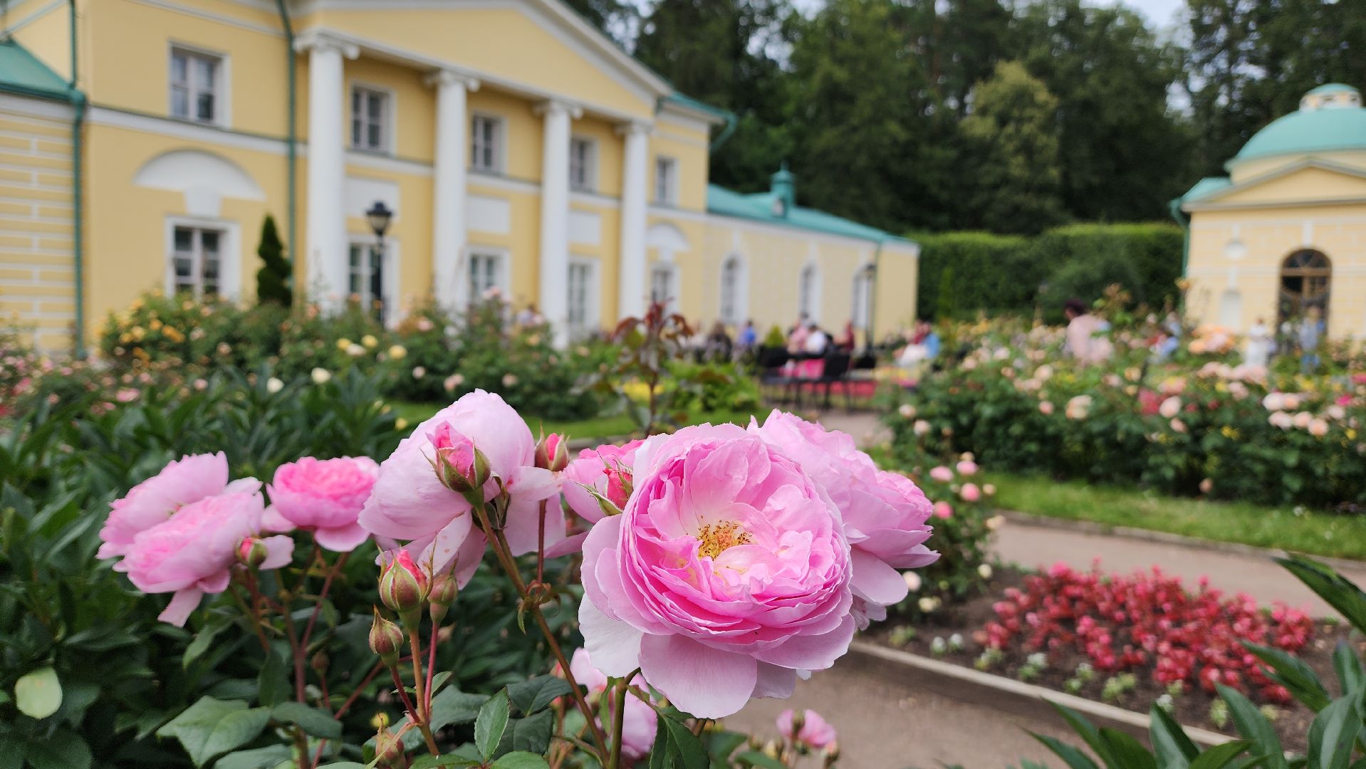 красногорск, архангельское, фестиваль роз,