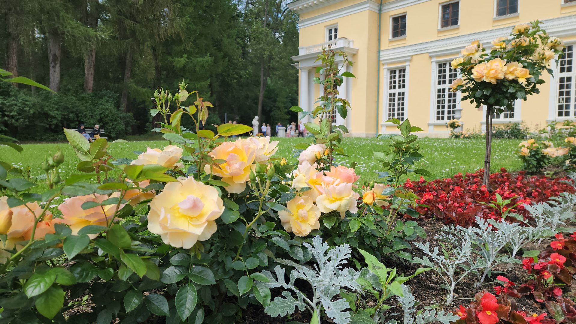 красногорск, архангельское, фестиваль роз,