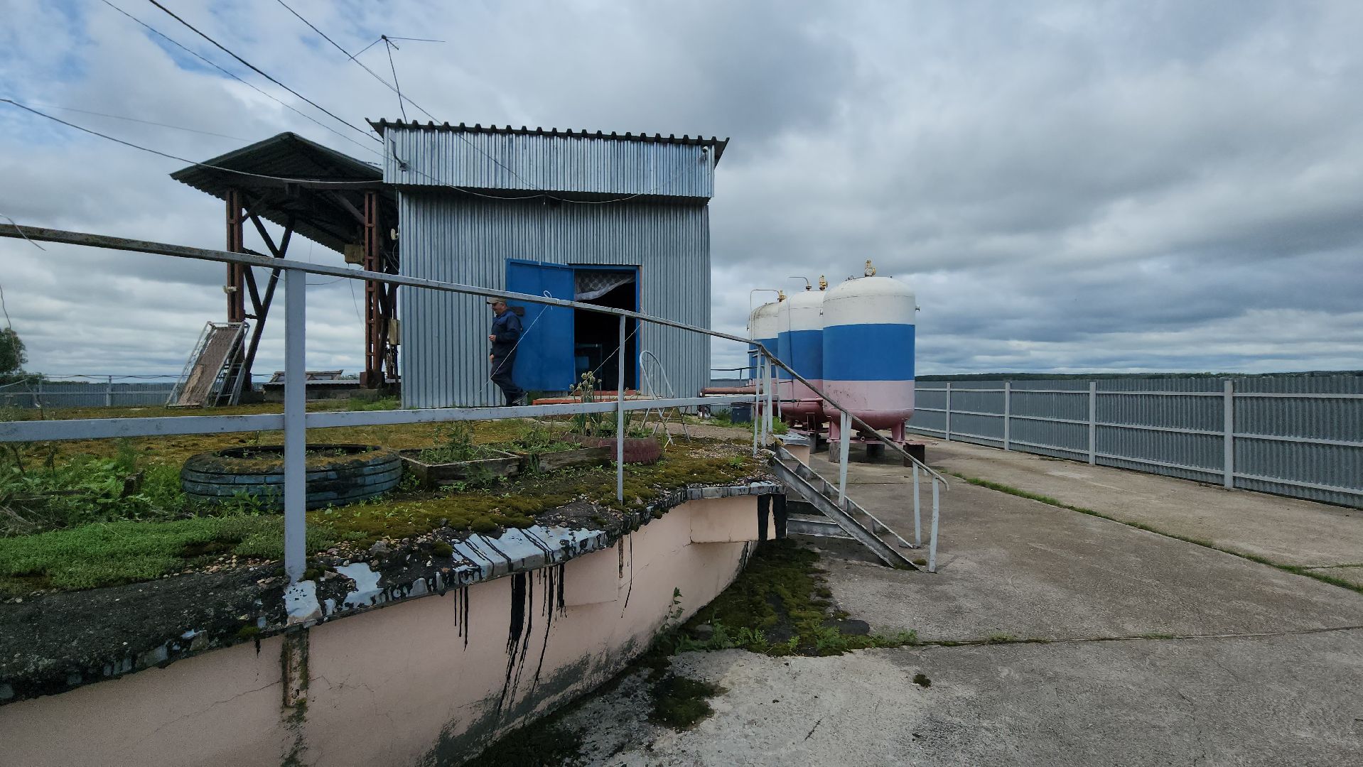 серпухов, ао дашковка, сельское хозяйство,