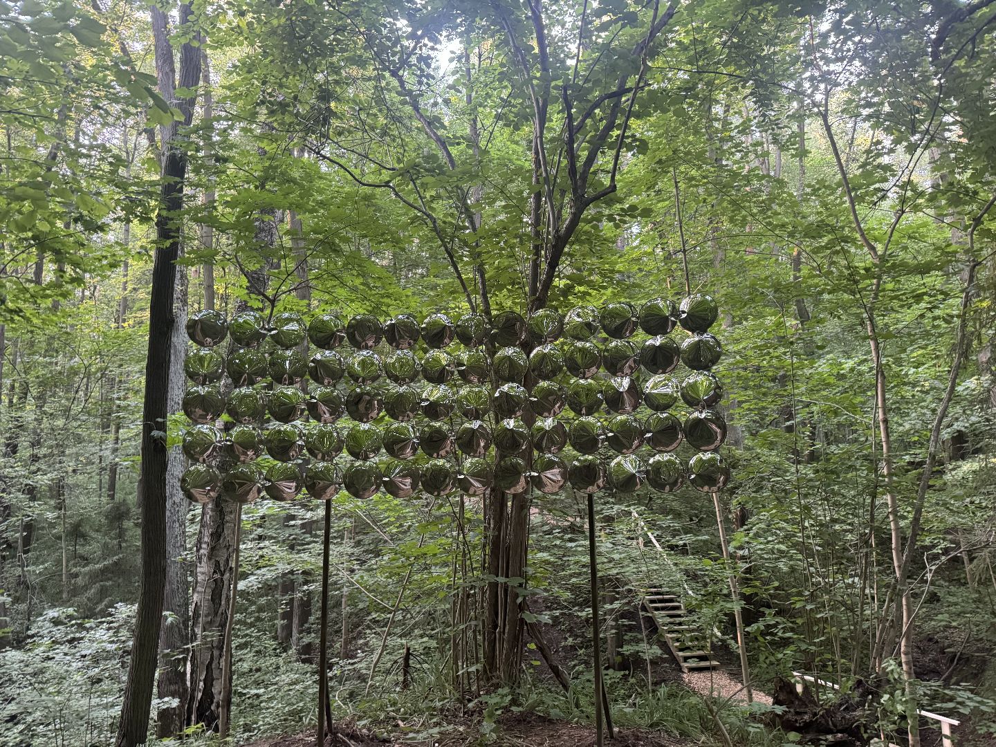 терапевтическая тропа , музей заповедник горки ленинские, лесотерапия, ленинский городской округ,