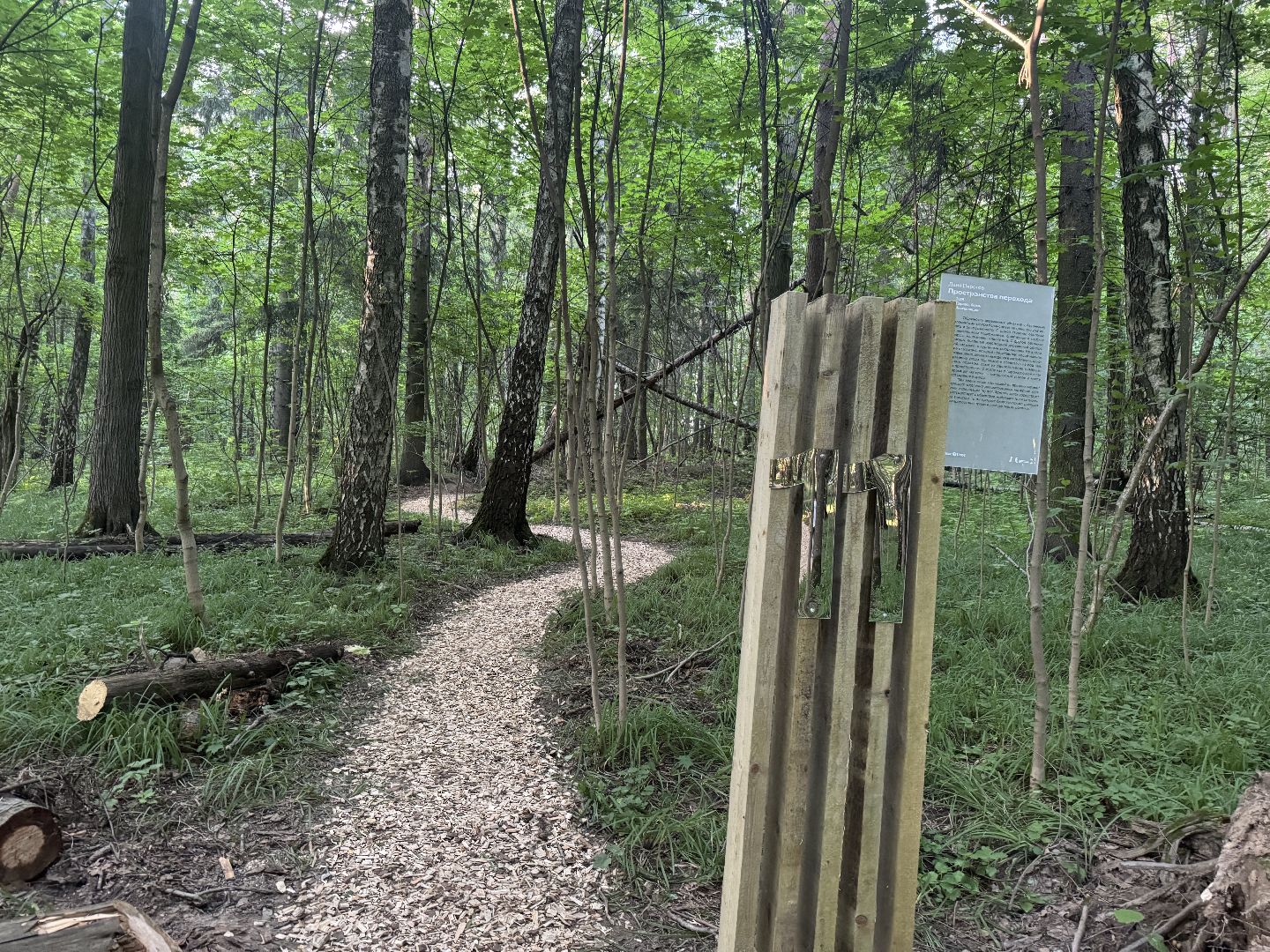 терапевтическая тропа , музей заповедник горки ленинские, лесотерапия, ленинский городской округ,