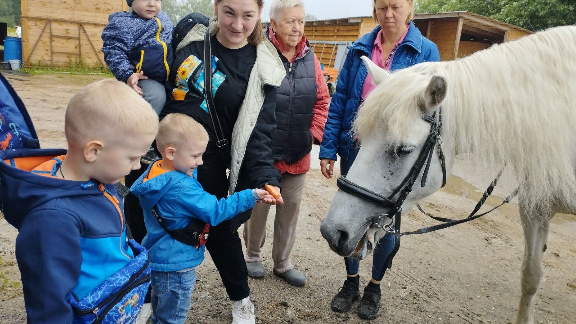 ивантеевка, пушкинский, дети с овз, иппотерапия, конный клуб,животные,социализация детей,психическое здоровье,вертикалки,