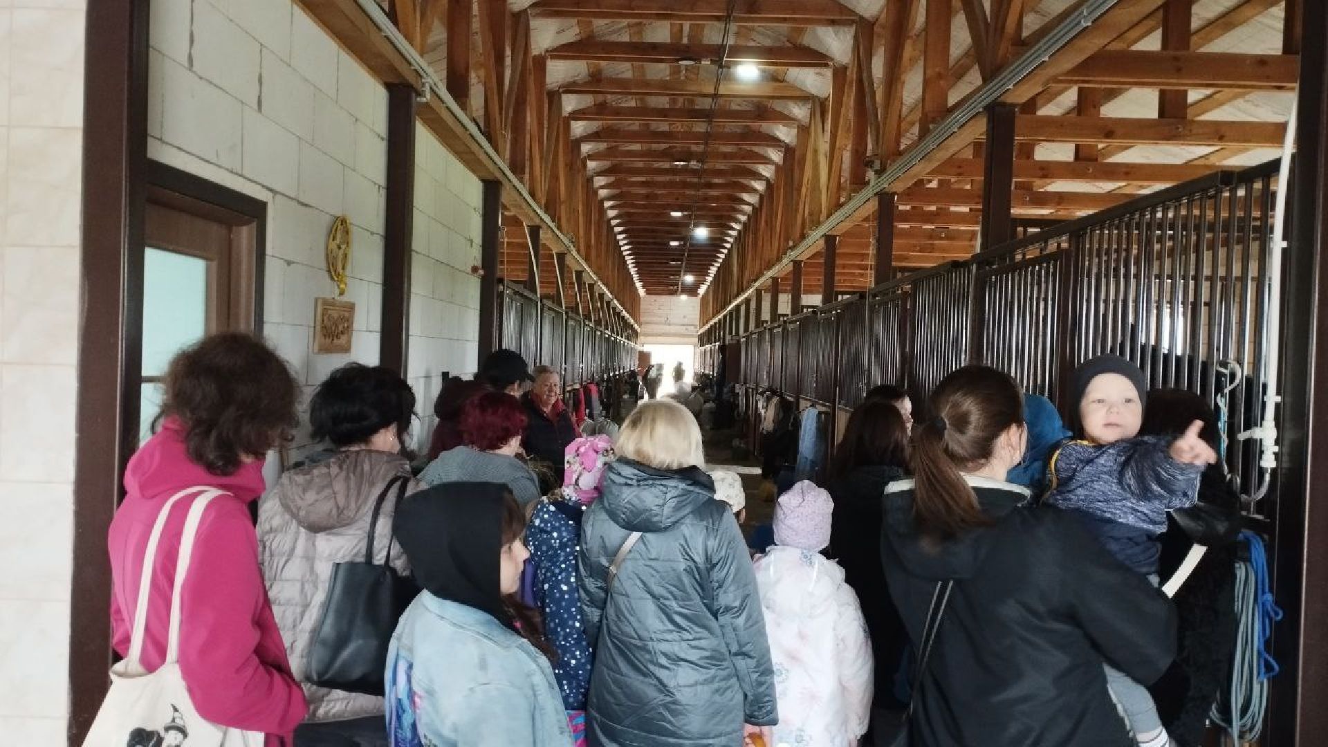 ивантеевка, пушкинский, дети с овз, иппотерапия, конный клуб,животные,социализация детей,психическое здоровье,вертикалки,