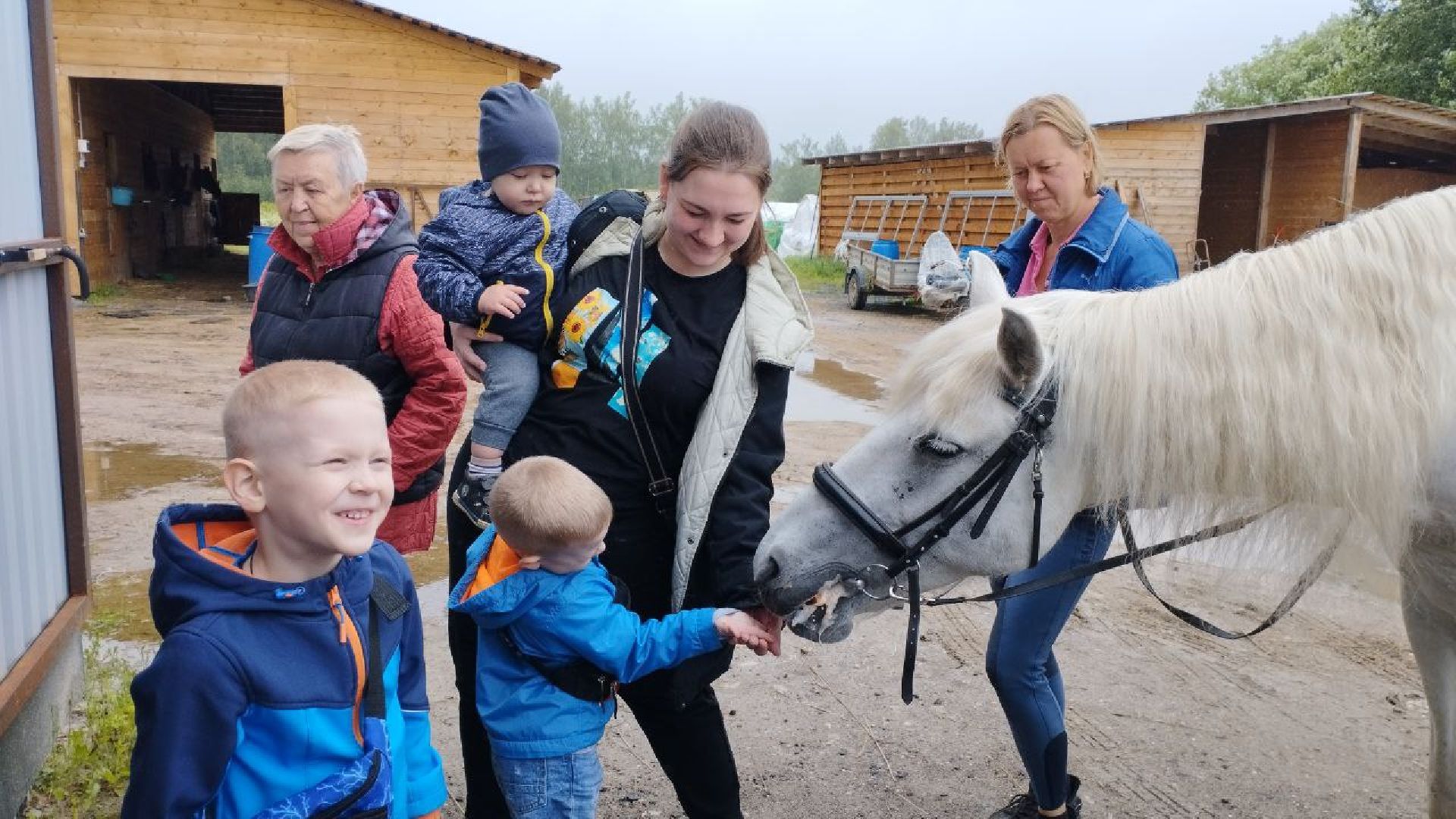 ивантеевка, пушкинский, дети с овз, иппотерапия, конный клуб,животные,социализация детей,психическое здоровье,вертикалки,