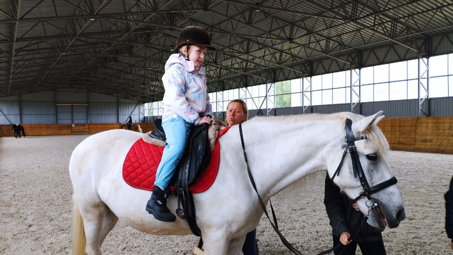 ивантеевка, пушкинский, дети с овз, иппотерапия, конный клуб,животные,социализация детей,психическое здоровье,вертикалки,