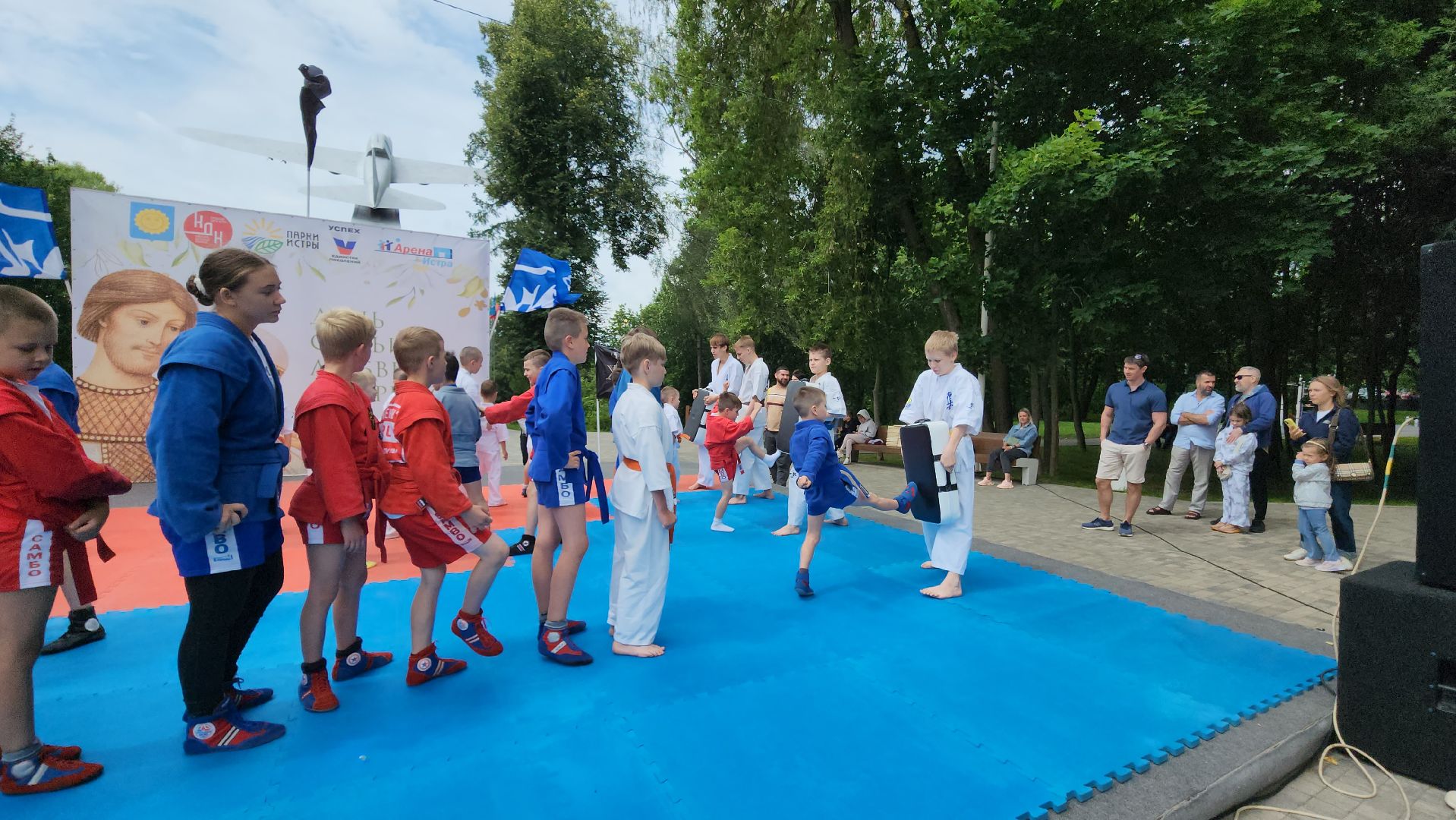 Истра, Спорт, Единоборства, день семьи любви и верности, Парк,