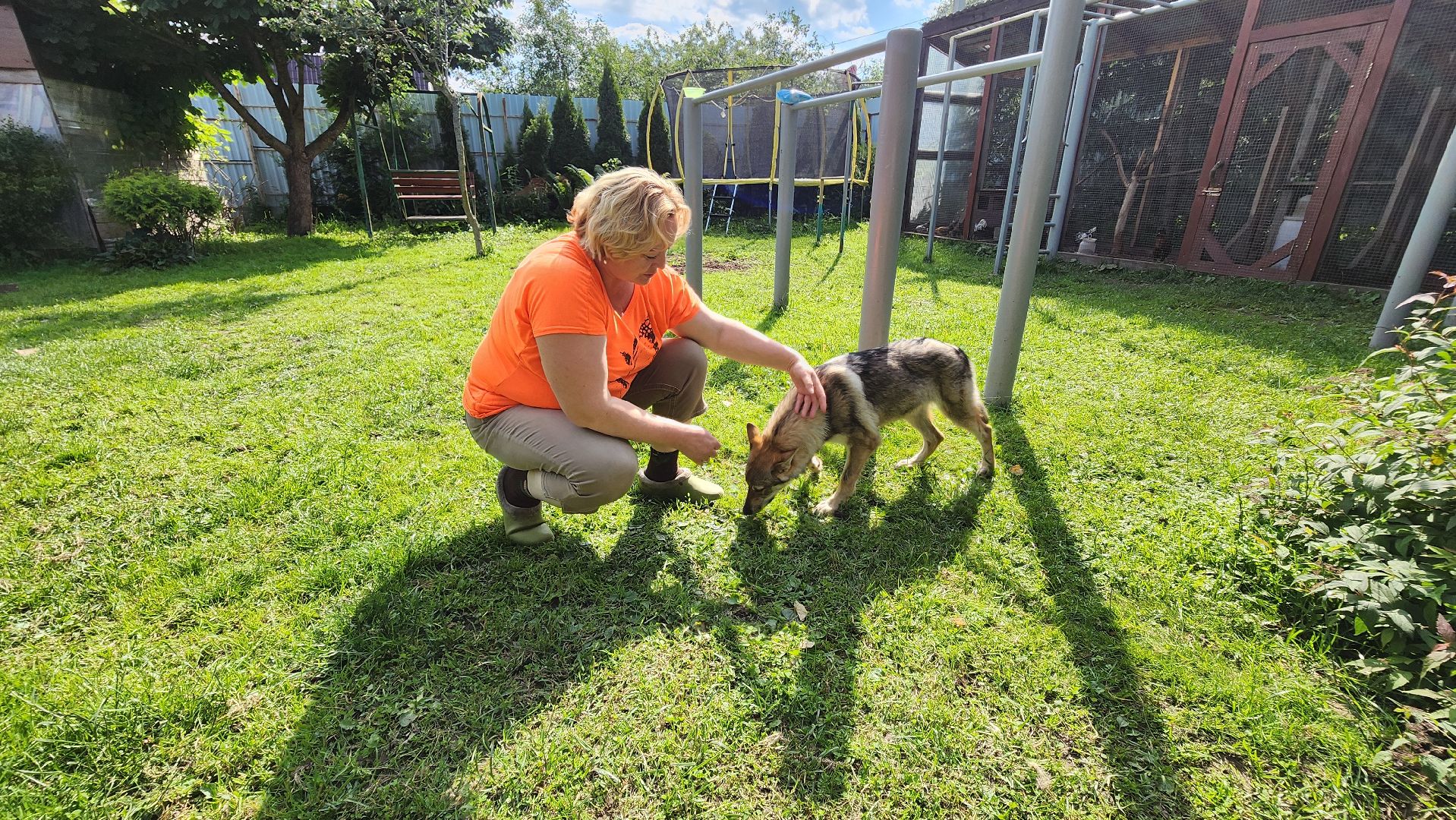 солнечногорск, сенежский олень, животные, волчок и поросенок, туризм,