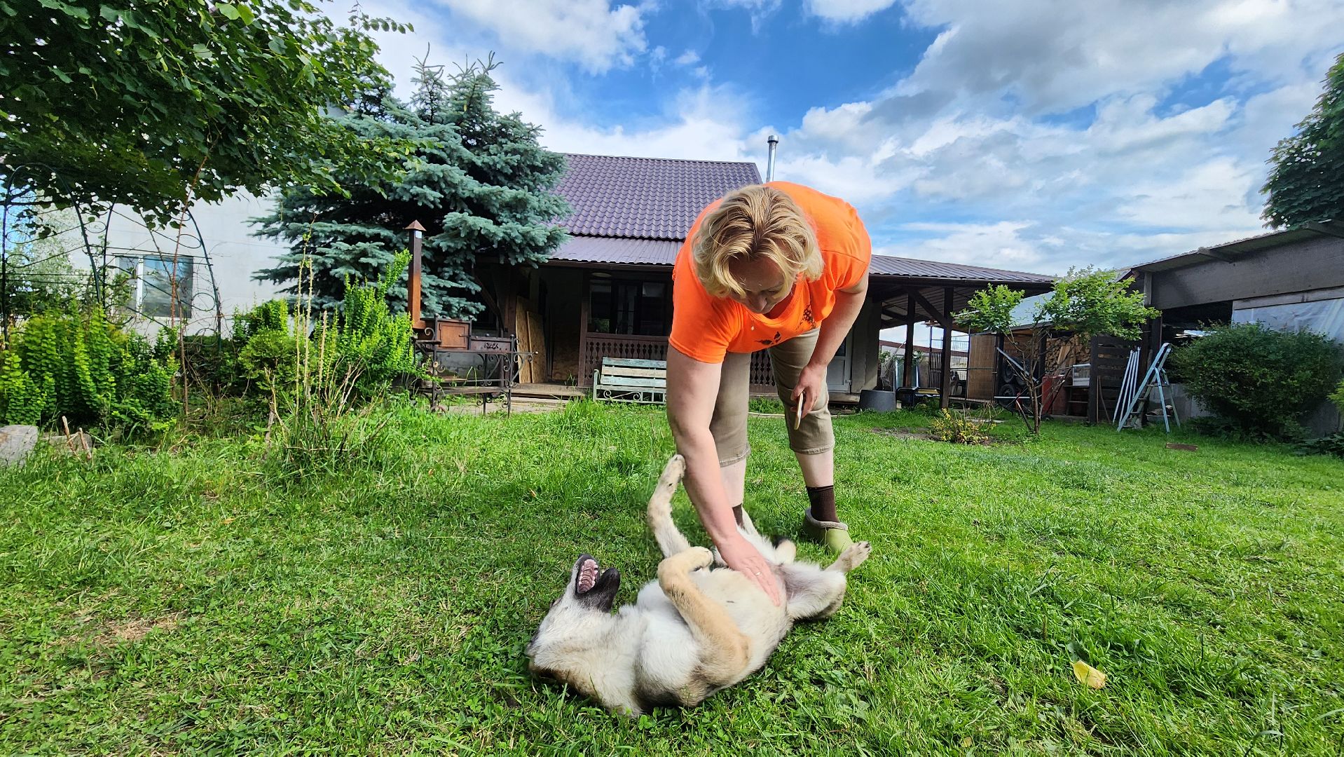 солнечногорск, сенежский олень, животные, волчок и поросенок, туризм,