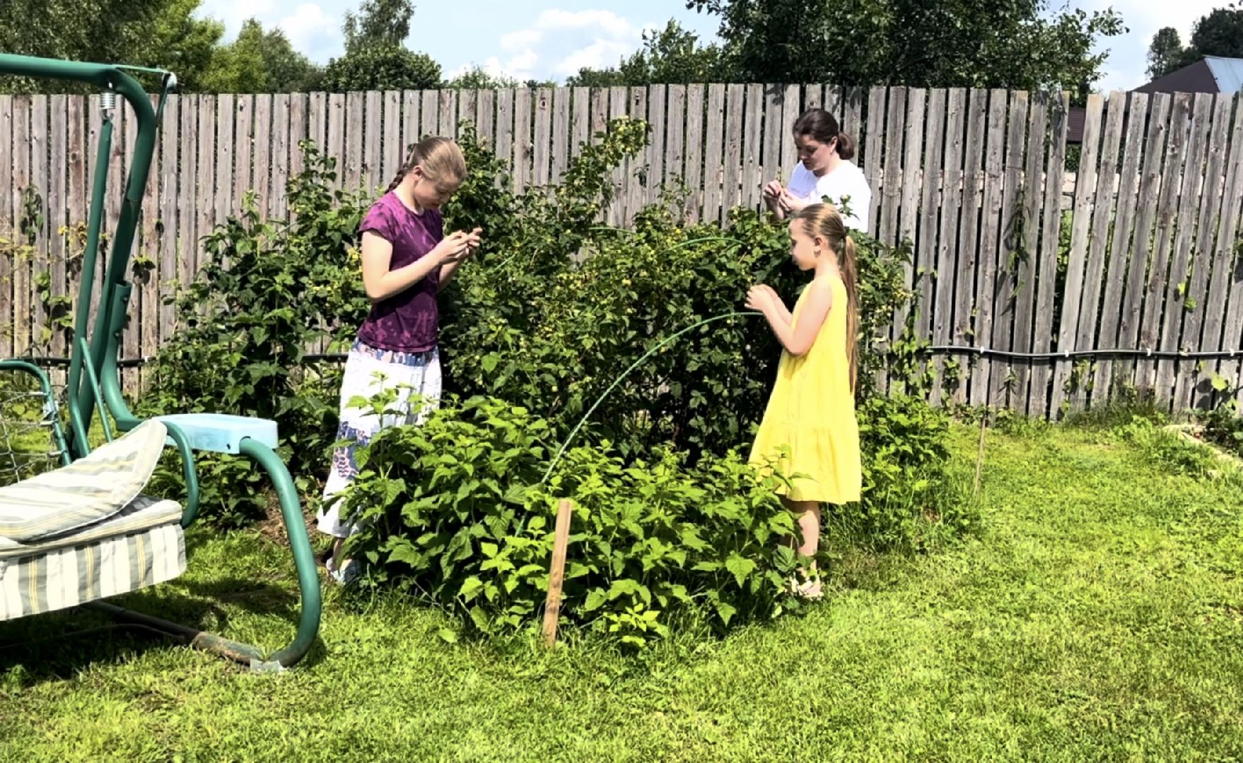 пушкинский городской округ, многодетная семья, день семьи любви и верности,