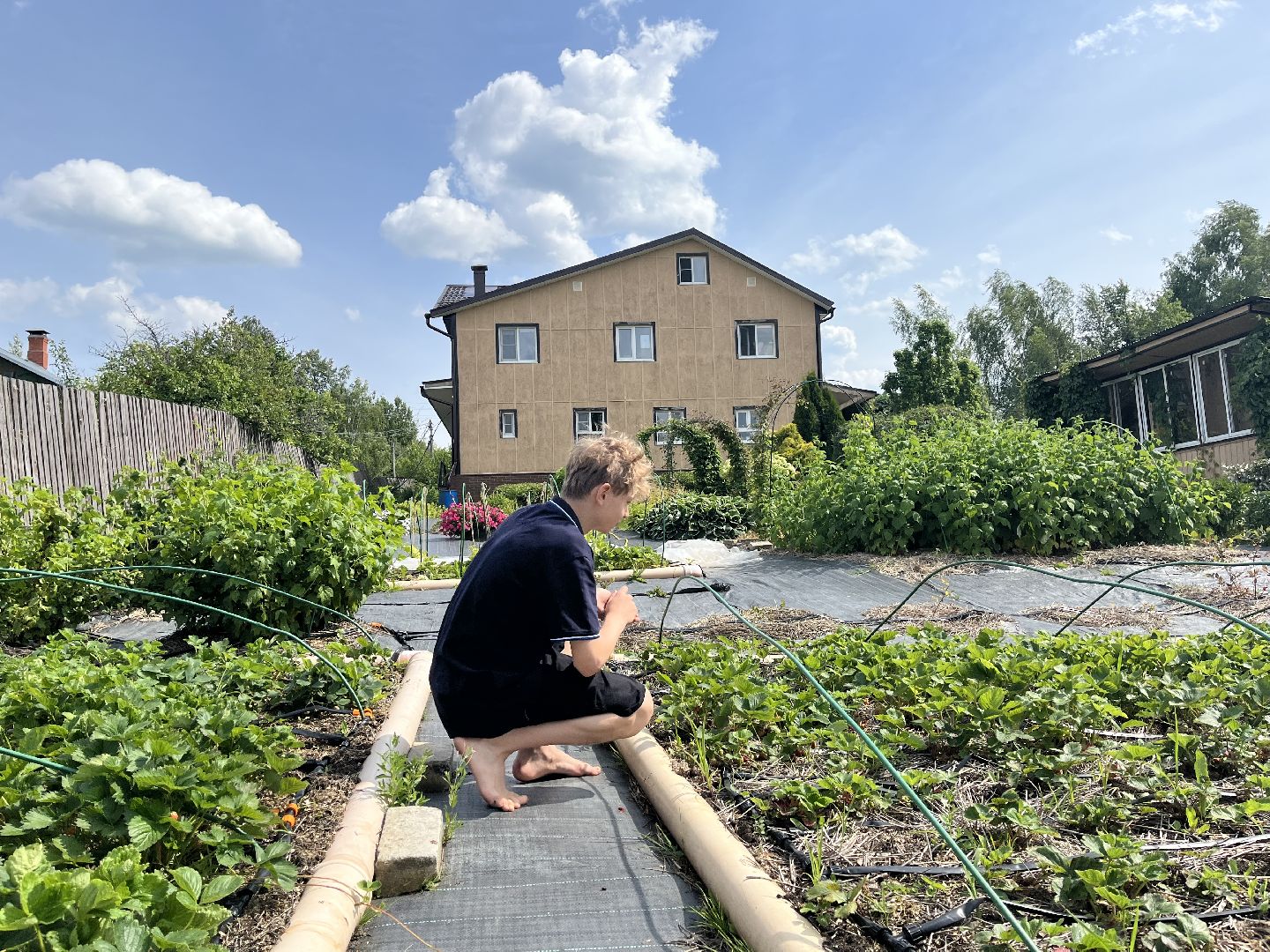 пушкинский городской округ, многодетная семья, день семьи любви и верности,