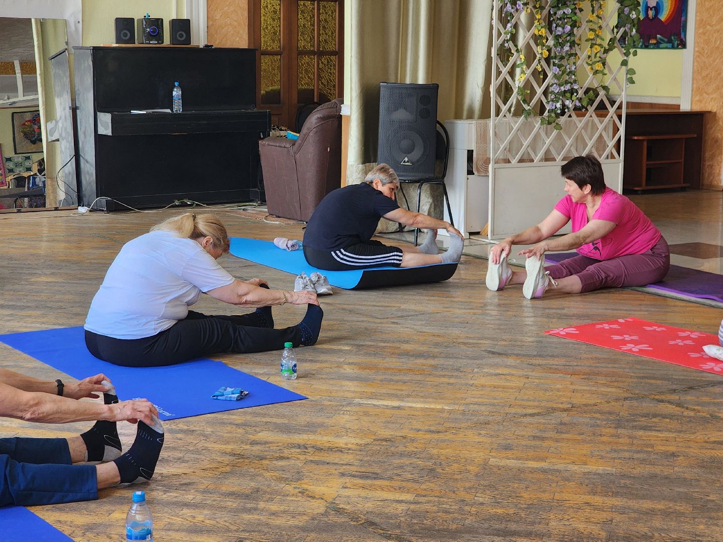 фрязино, здоровье, активное долголетие, физическая культура,