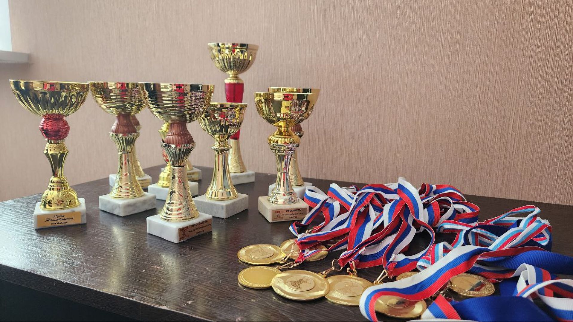 Дмитров, Многодетная семья, Губайдуллины,