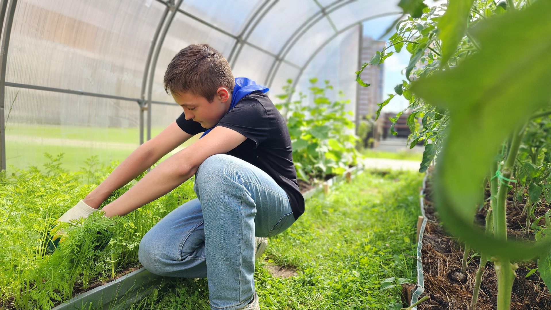 школа, лагерь, культура, досуг, образование, домодедово, подмосковье, школьный лагерь,