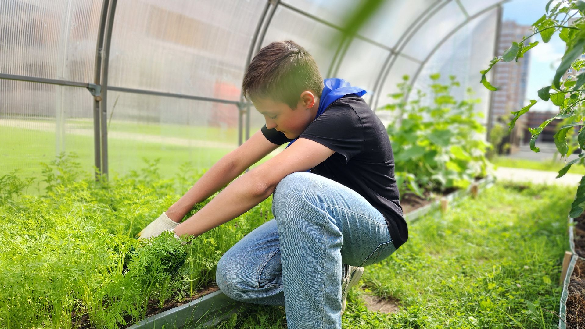 школа, лагерь, культура, досуг, образование, домодедово, подмосковье, школьный лагерь,