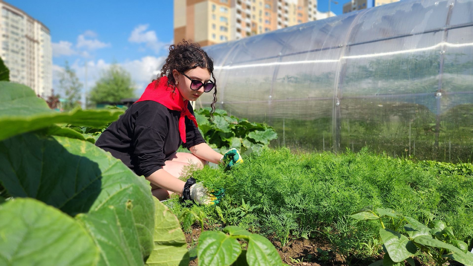 школа, лагерь, культура, досуг, образование, домодедово, подмосковье, школьный лагерь,