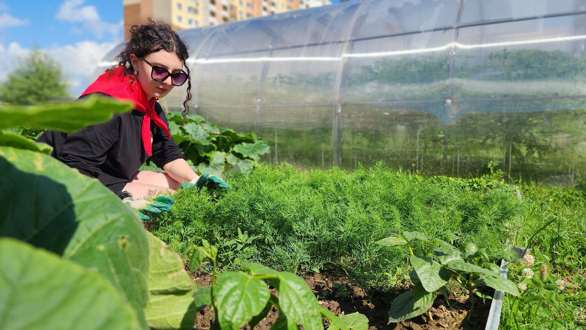 школа, лагерь, культура, досуг, образование, домодедово, подмосковье, школьный лагерь,