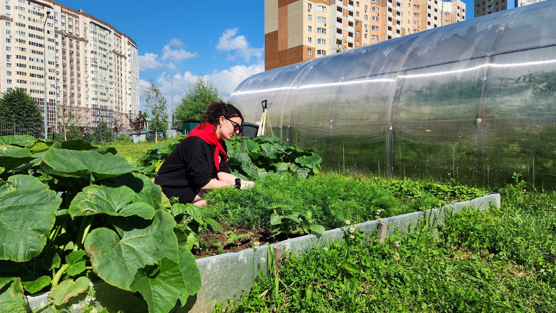 школа, лагерь, культура, досуг, образование, домодедово, подмосковье, школьный лагерь,