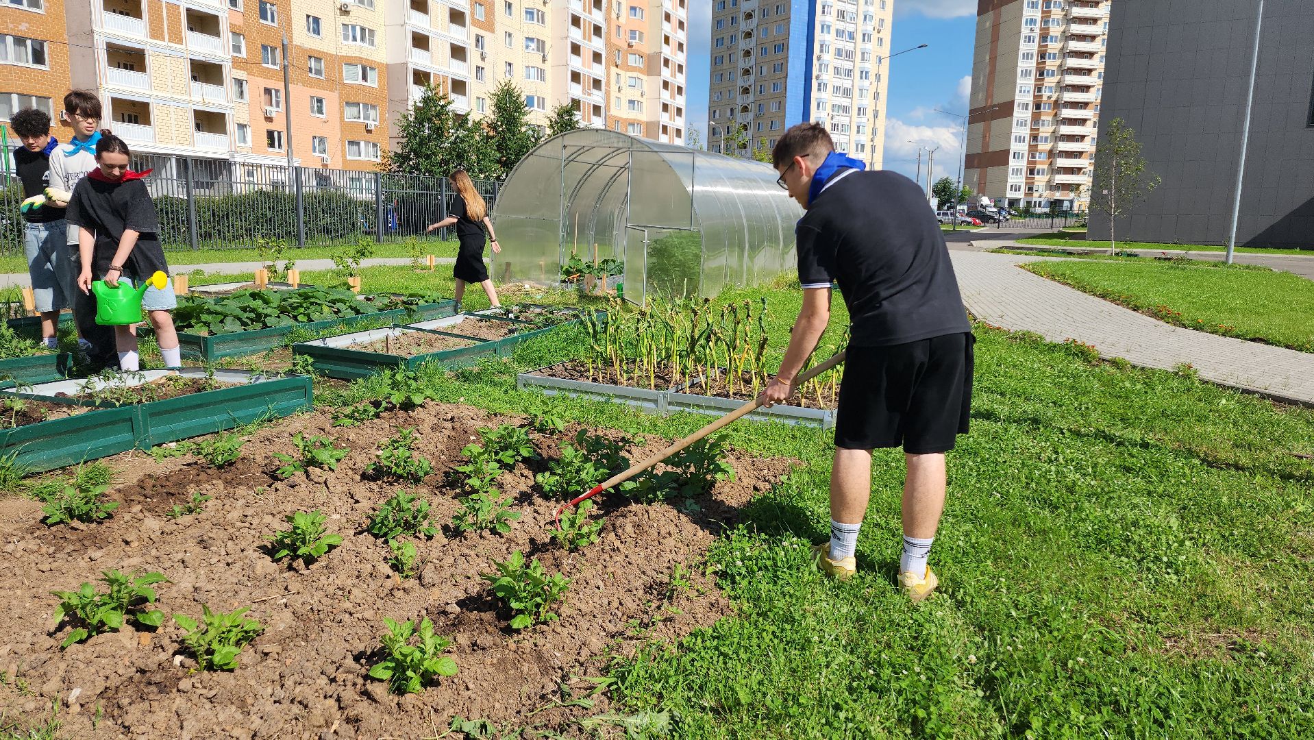 школа, лагерь, культура, досуг, образование, домодедово, подмосковье, школьный лагерь,