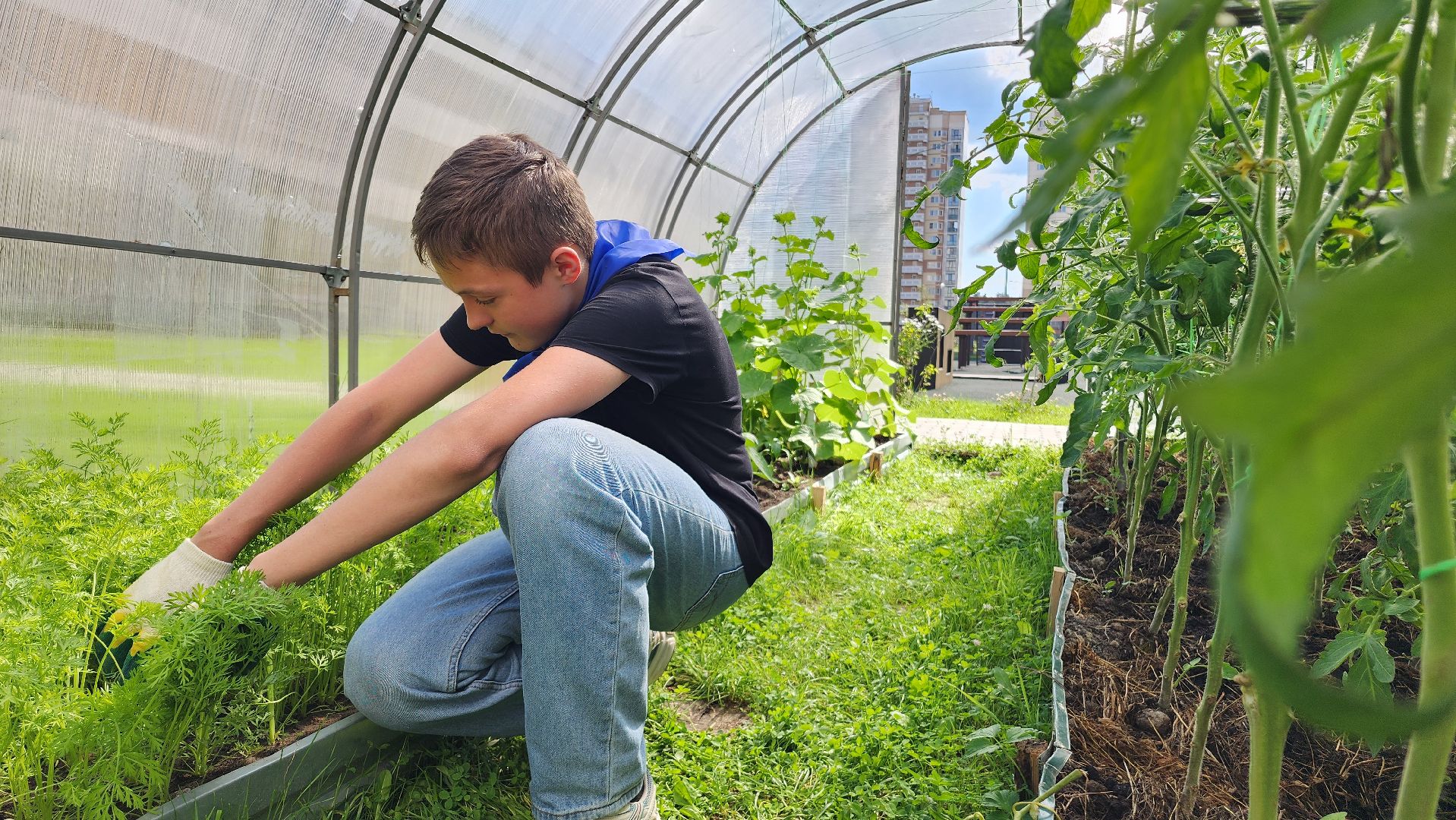 школа, лагерь, культура, досуг, образование, домодедово, подмосковье, школьный лагерь,
