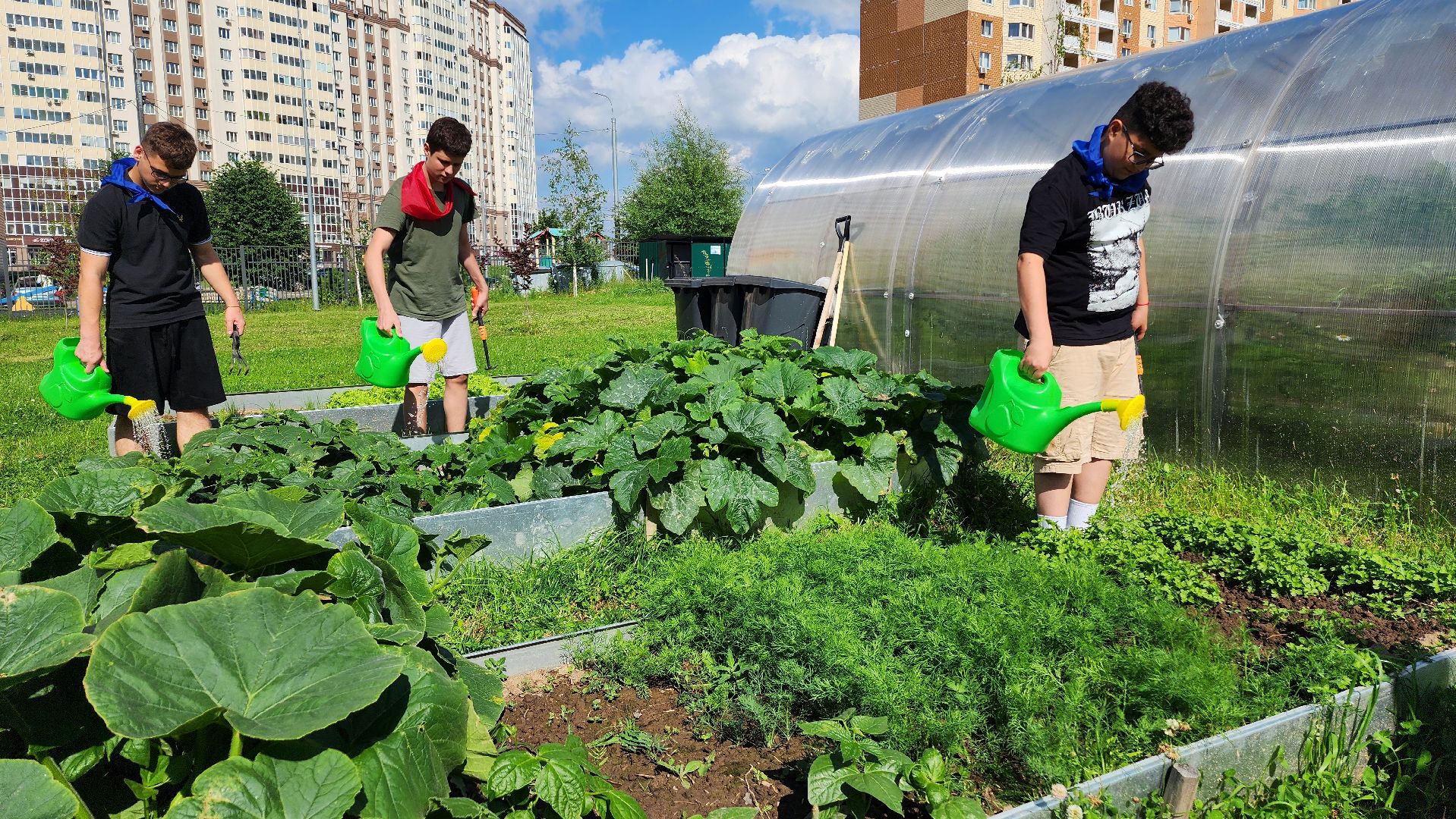 школа, лагерь, культура, досуг, образование, домодедово, подмосковье, школьный лагерь,