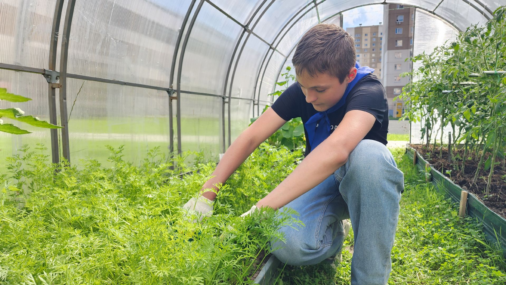 школа, лагерь, культура, досуг, образование, домодедово, подмосковье, школьный лагерь,