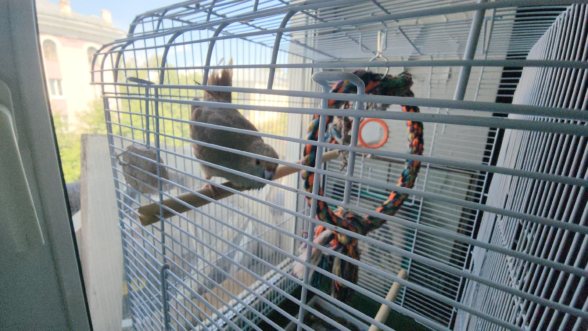 серпухов, художница из серпухова, улица советская, день семьи любви и верности,