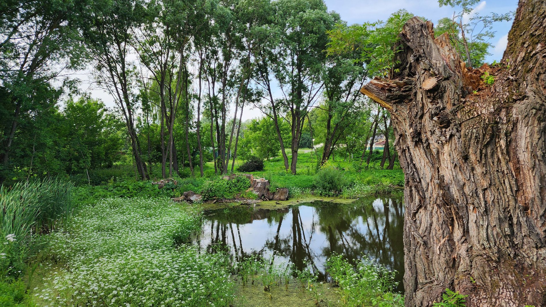 ступино, выездная администрация, благоустройство,