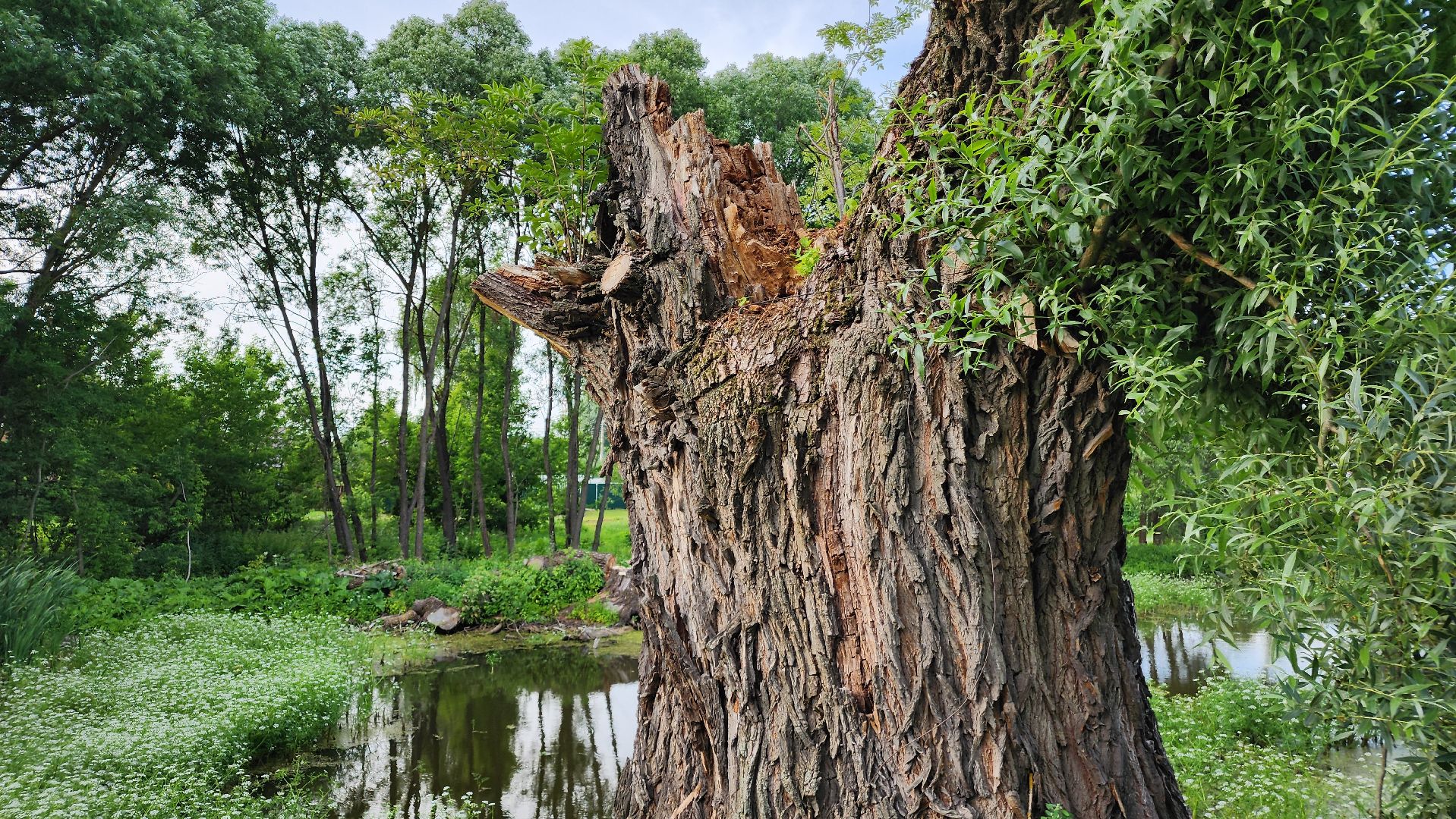 ступино, выездная администрация, благоустройство,