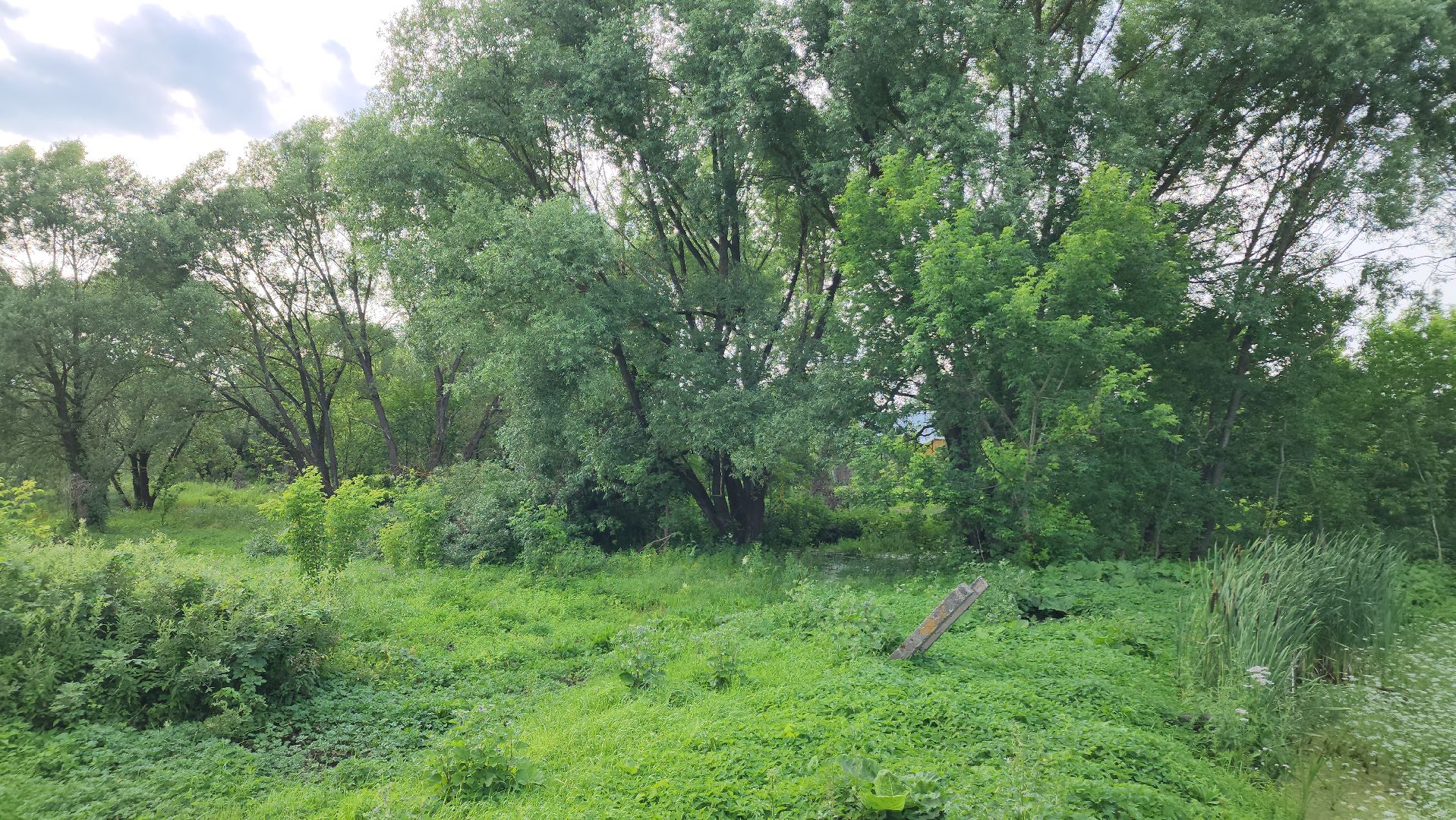 ступино, выездная администрация, благоустройство,