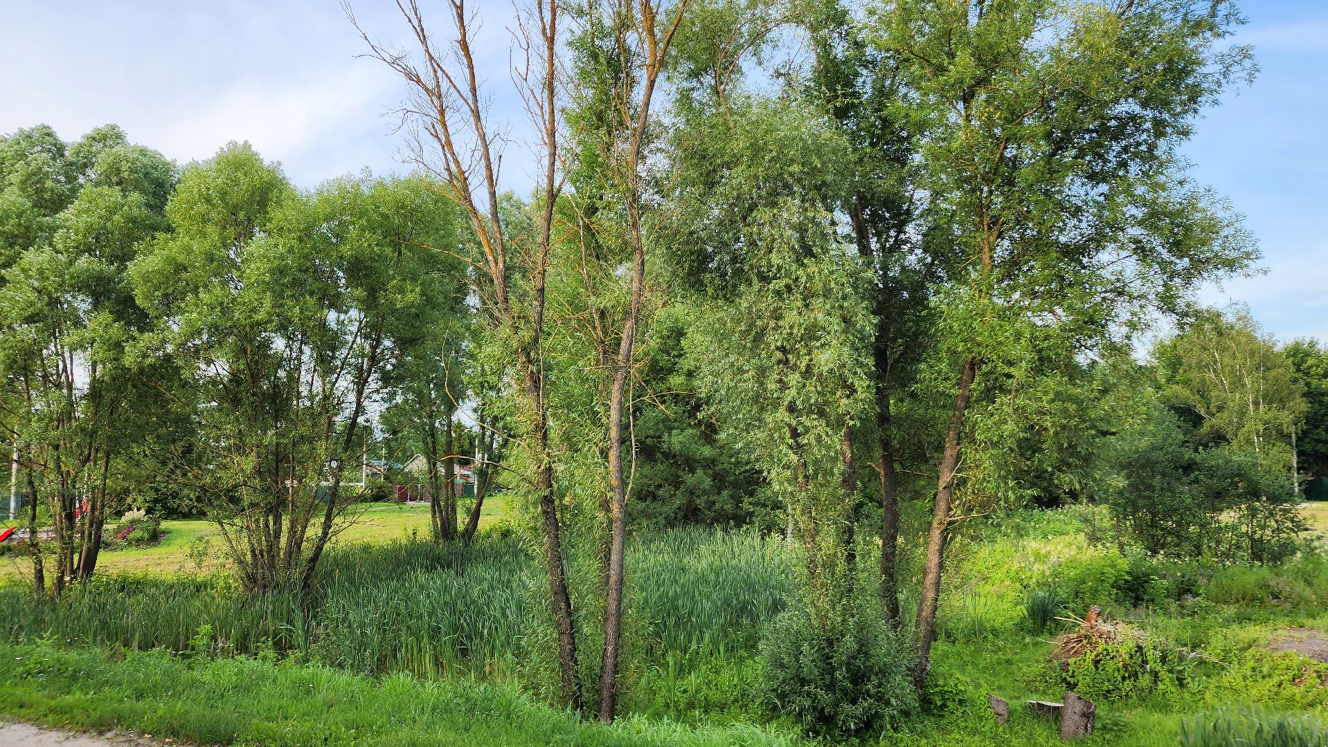 ступино, выездная администрация, благоустройство,