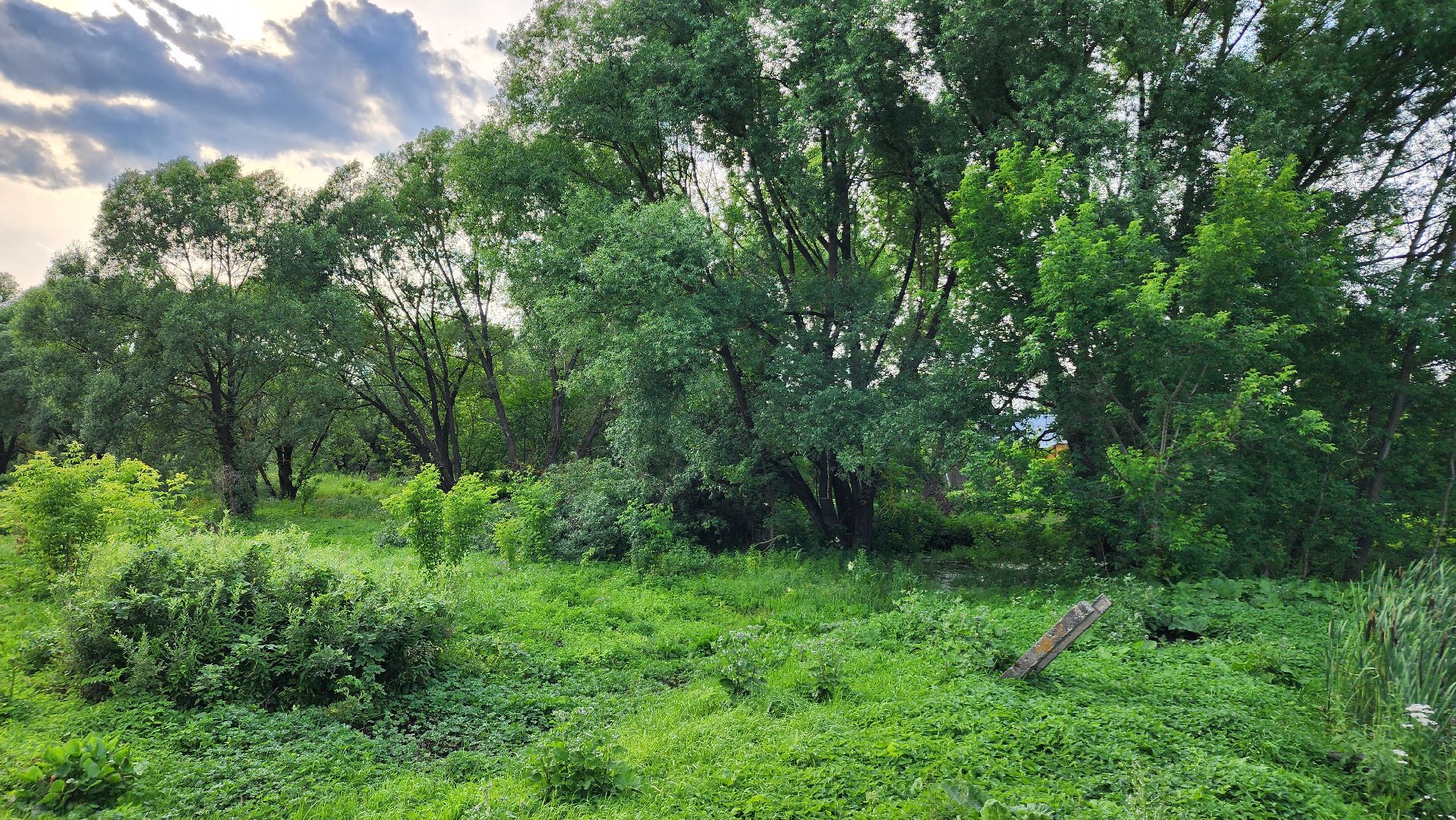 ступино, выездная администрация, благоустройство,