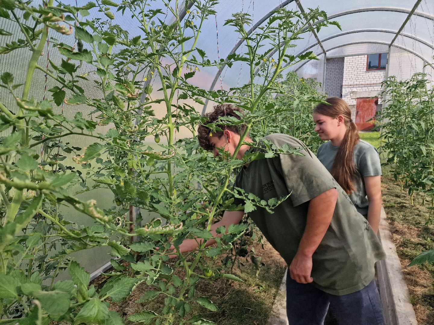 дубна, деньсемьилюбвииверности, многодетнаясемья,