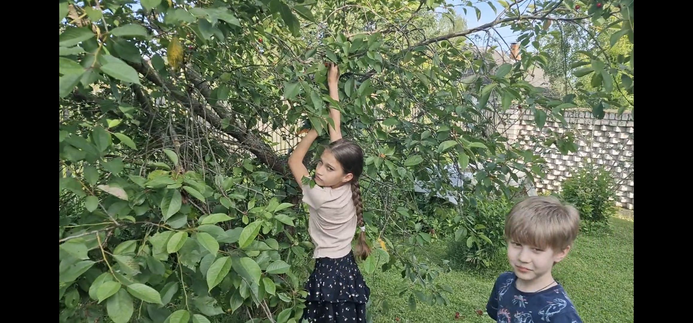 дубна, деньсемьилюбвииверности, многодетнаясемья,
