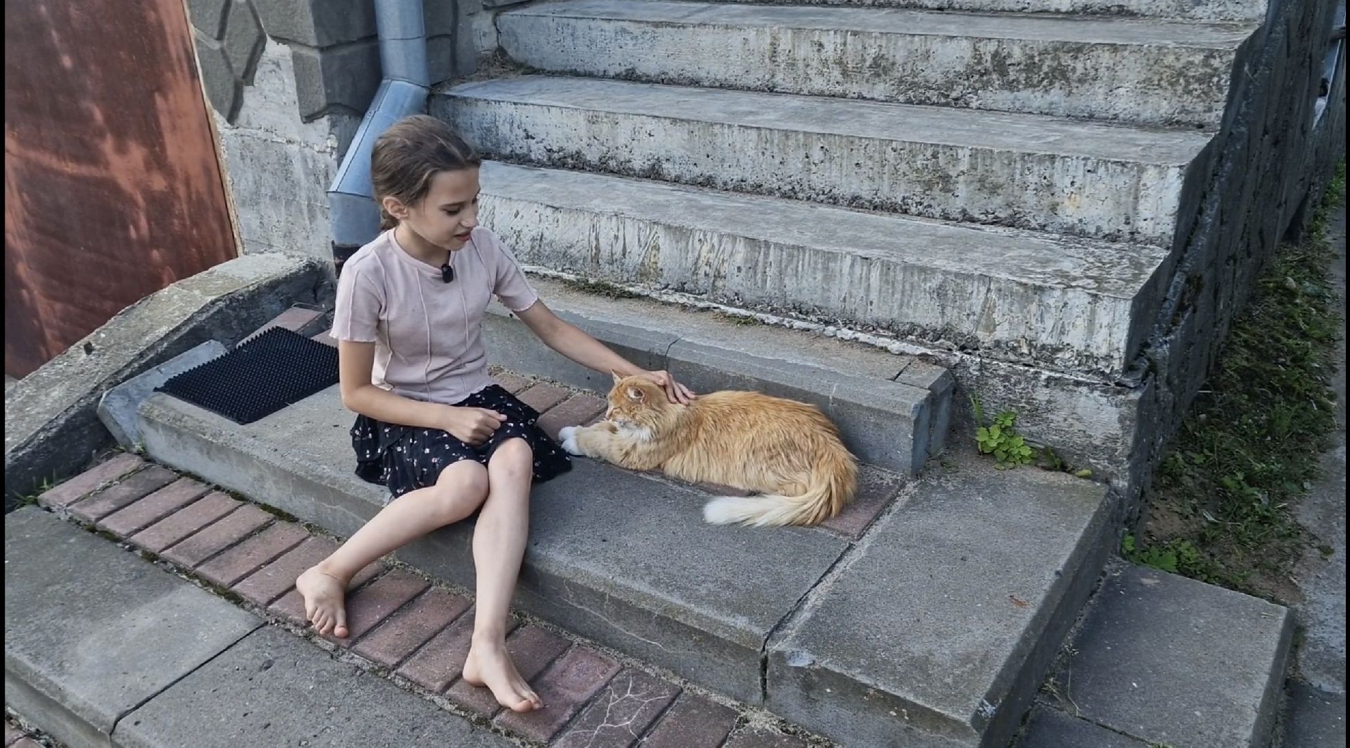 дубна, деньсемьилюбвииверности, многодетнаясемья,