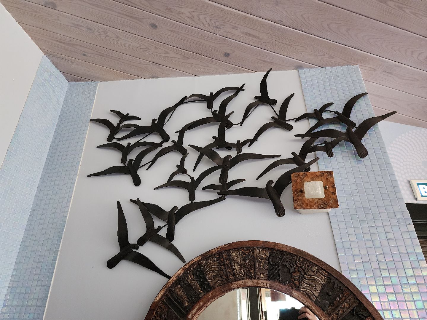 серпухов,  подмосковье, джамбу, питомник южный,