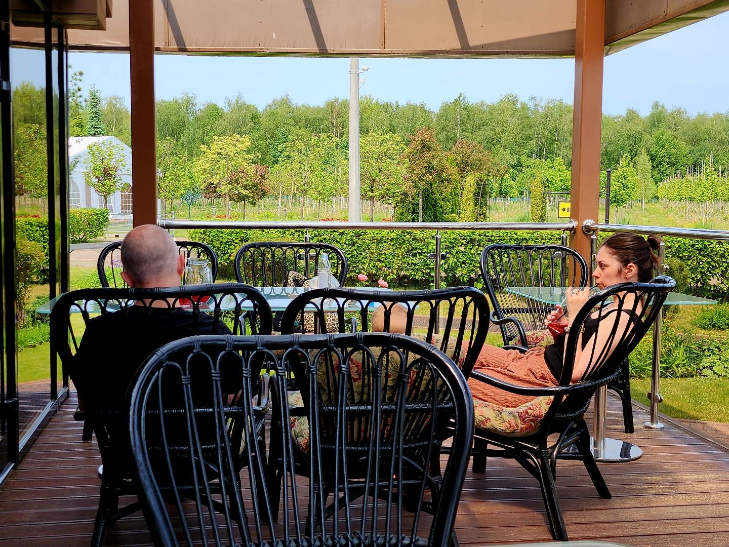 серпухов,  подмосковье, джамбу, питомник южный,