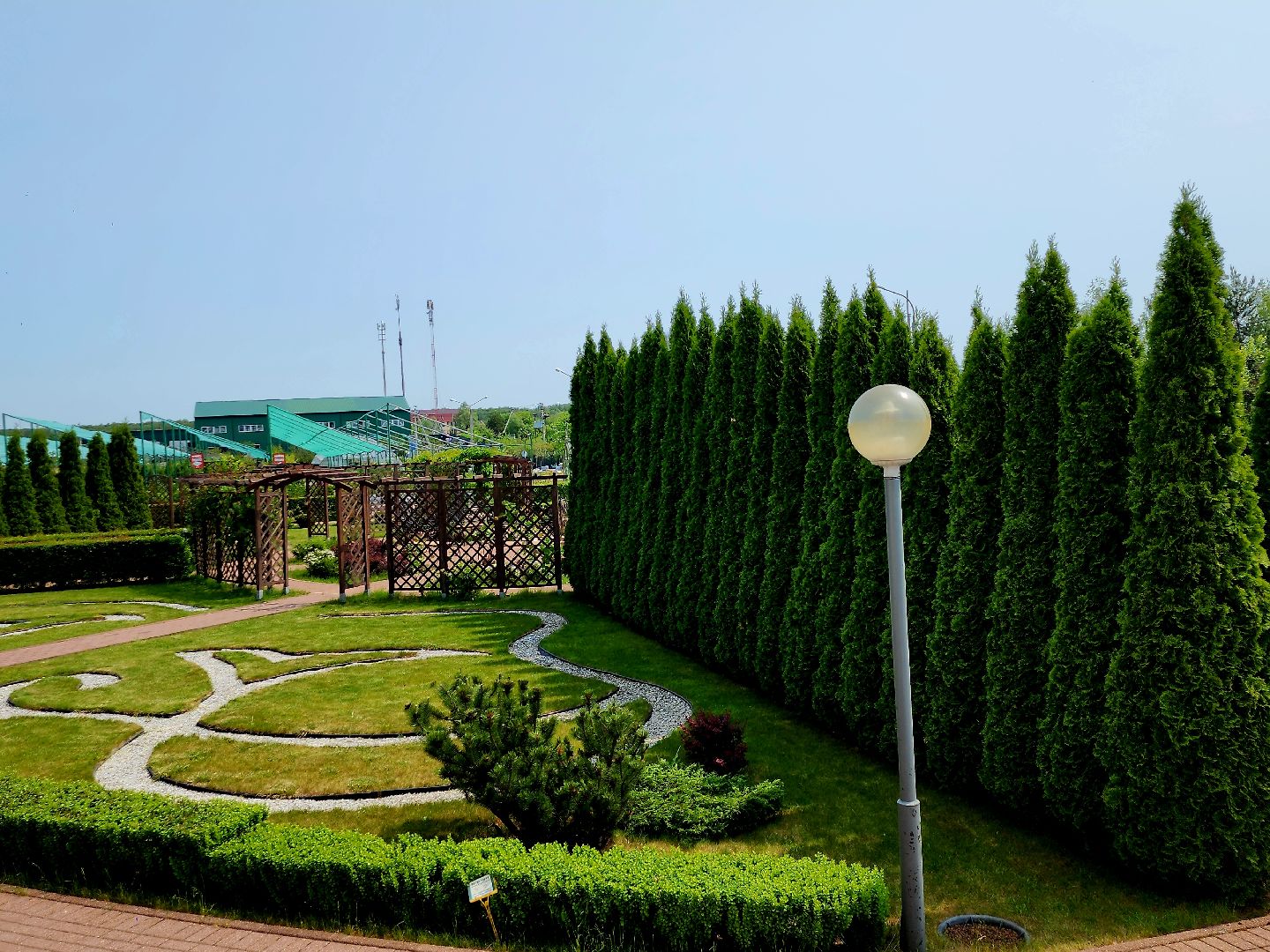 серпухов,  подмосковье, джамбу, питомник южный,