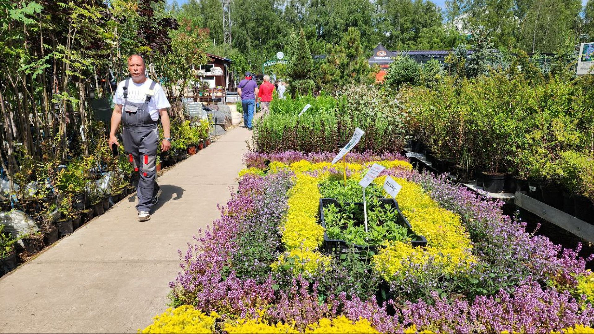 Дмитров, Мастера сада, Косолаповы, Ландшафтный дизайн,
