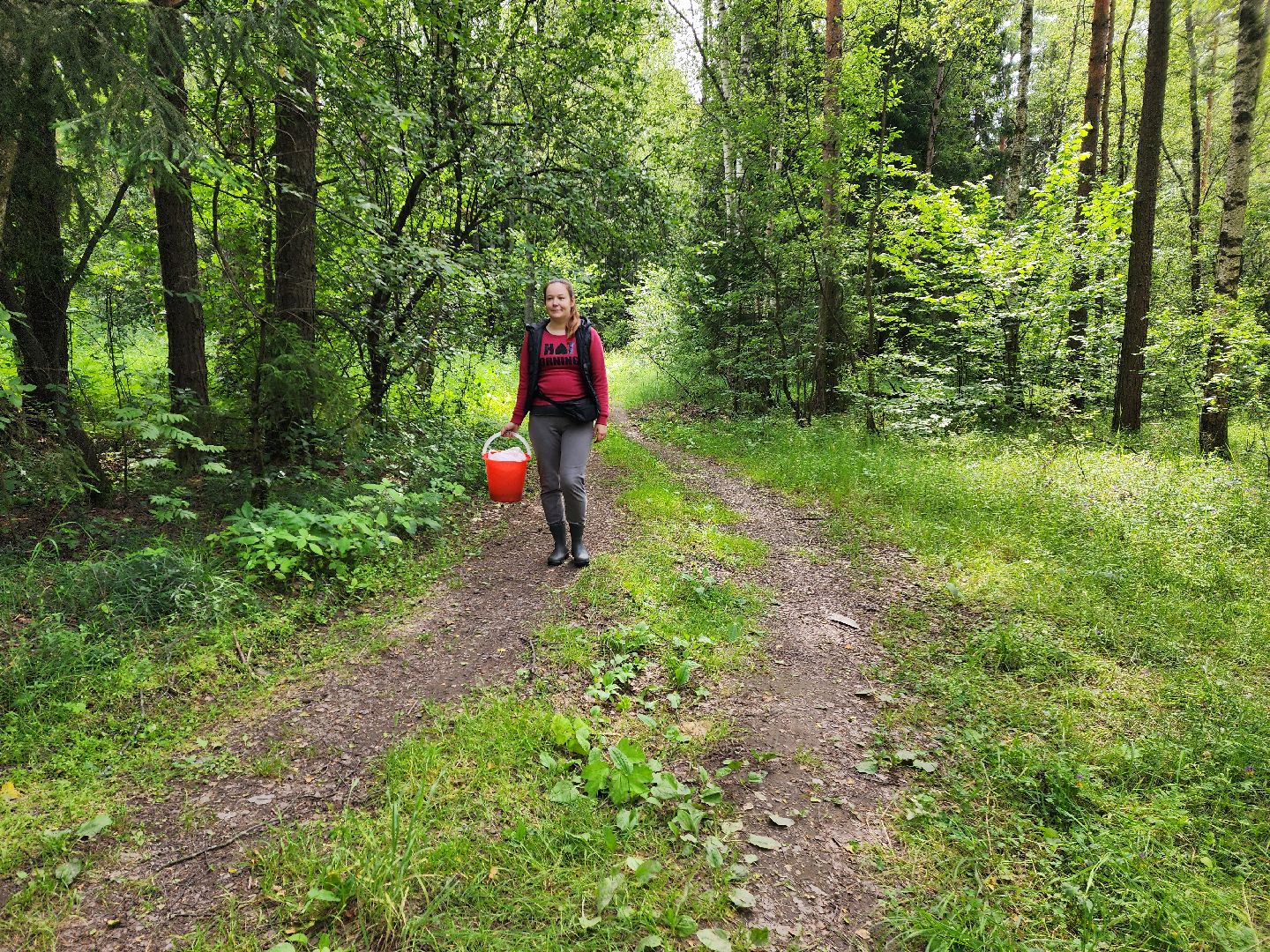 красноармейск, городской округ пушкинский, черника, лесные ягоды,