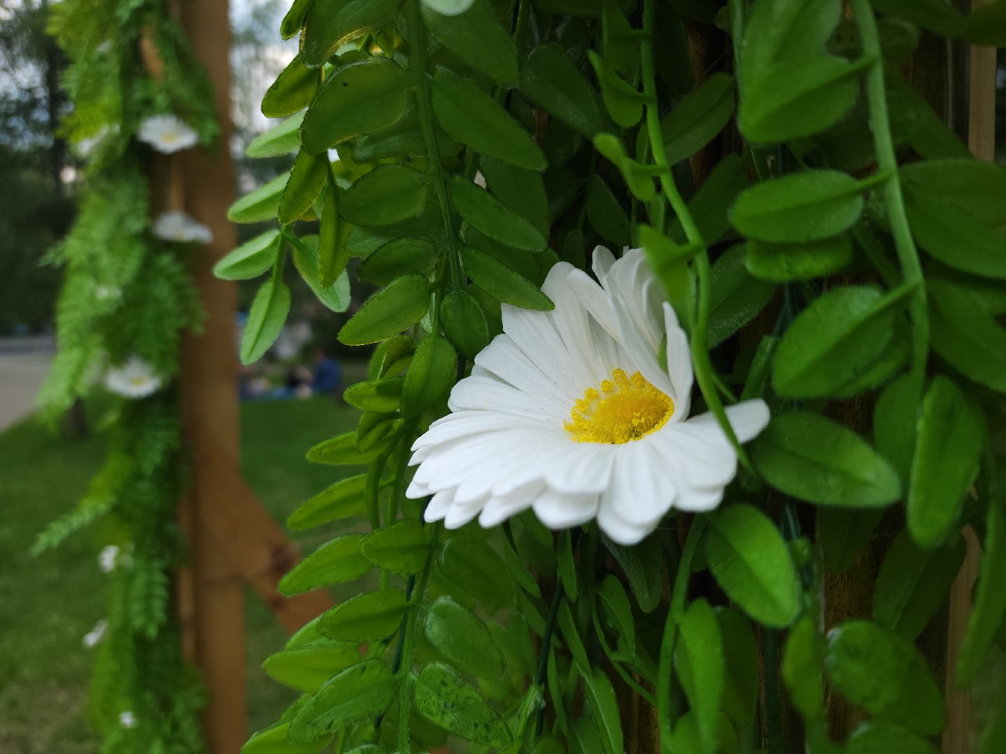 день семьи любви и верности, мытищи,