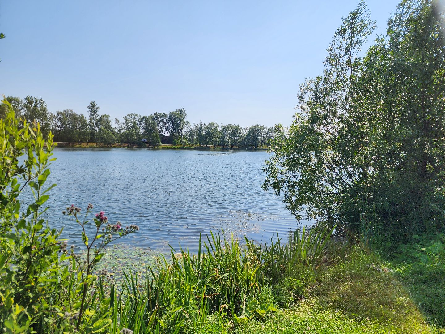 электроугли, богородский городской округ, жара, купальный сезон, отдых на воде, пруд,
